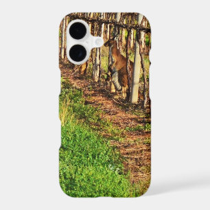 Kangaroo And Joey In Grape Vines,