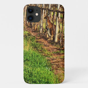 Kangaroo And Joey In Grape Vines, iPhone 11 Case