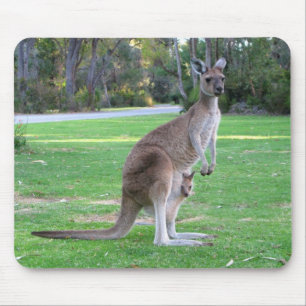 Kangaroo and Joey Mouse Mat