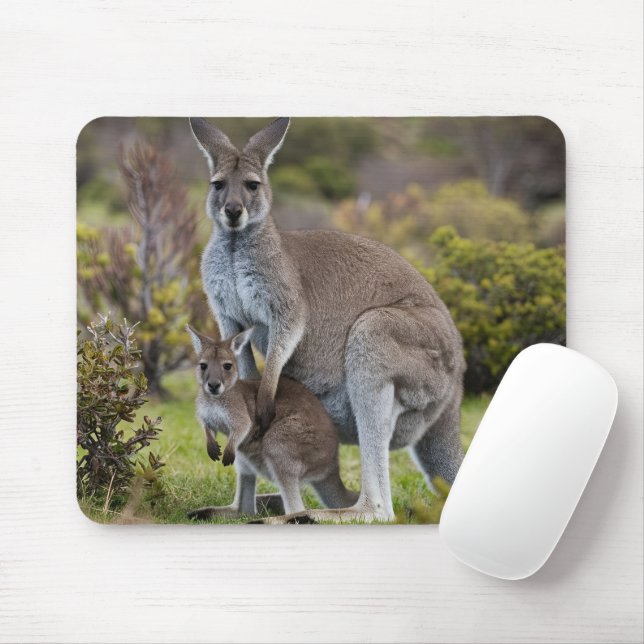 Kangaroo and Joey Mouse Mat (With Mouse)