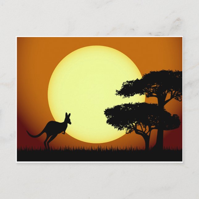Kangaroo at sunset postcard (Front)