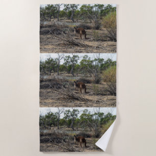 Kangaroo At The Billabong, Beach Towel