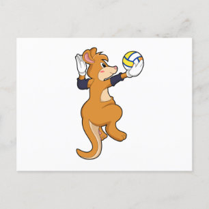 Kangaroo at Volleyball Sports Postcard