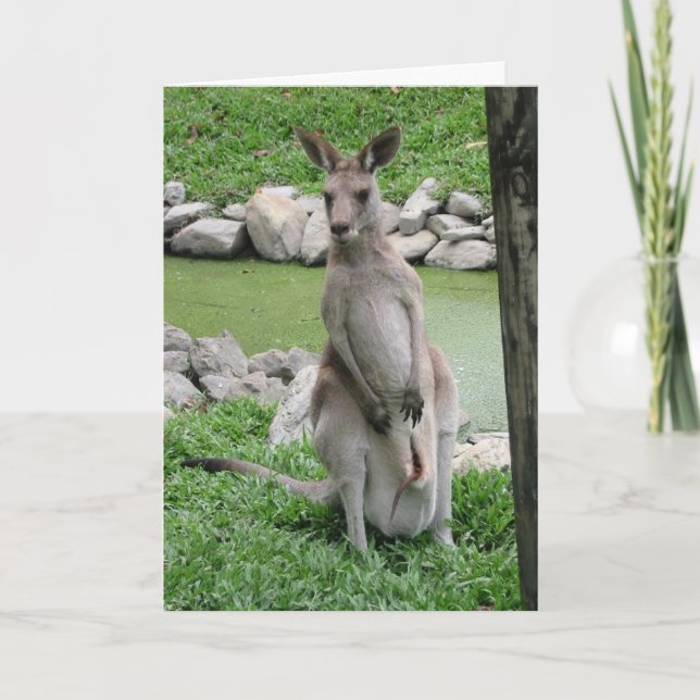 Kangaroo - Australia Beckons Card (Front)