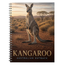 Kangaroo Australian Outback Wildlife ANIMAL
