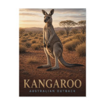 Kangaroo Australian Outback Wildlife ANIMAL