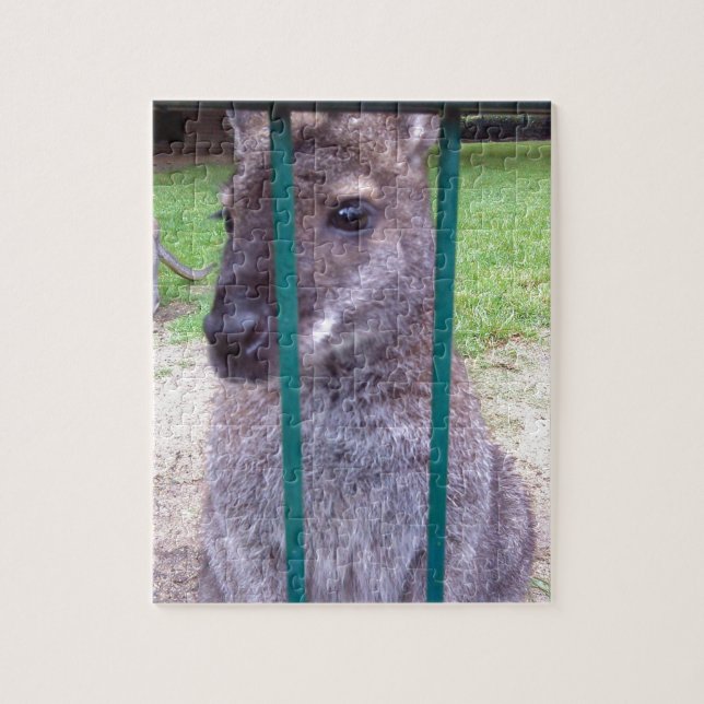 Kangaroo behind bars jigsaw puzzle (Vertical)