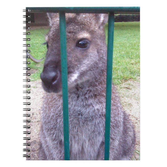 Kangaroo behind bars notebook (Front)