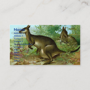 Kangaroo Business Card