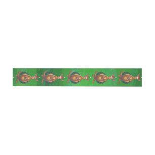 Kangaroo Christmas on Painted Green Back Wraparound Address Label