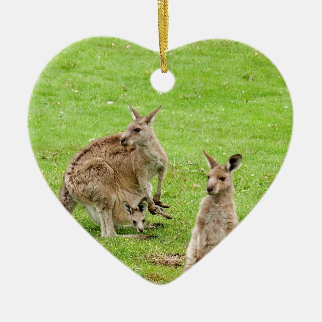 Kangaroo Design Ceramic Tree Decoration (Front)