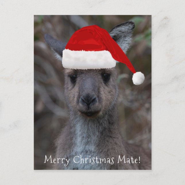 Kangaroo Face Santa Hat Merry Christmas Mate Postcard (Front)