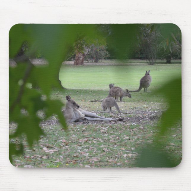 kangaroo family mouse mat (Front)