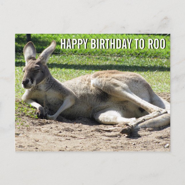 Kangaroo Happy Birthday to Roo Postcard (Front)