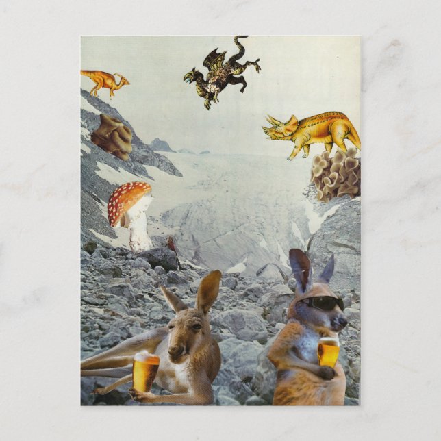 Kangaroo Holiday Postcards (Front)