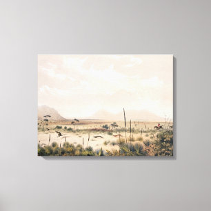 Kangaroo Hunt Canvas Print