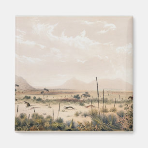 Kangaroo Hunt Magnet