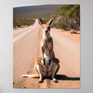 Kangaroo in the Outback Poster