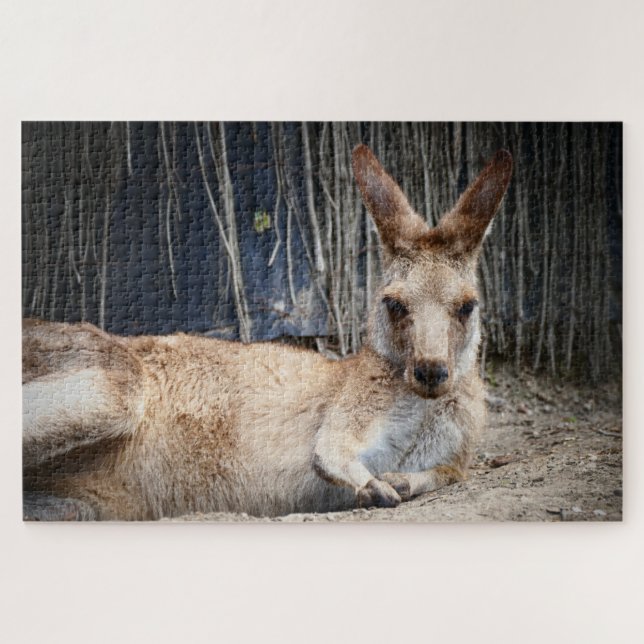 Kangaroo Jigsaw Puzzle (Horizontal)