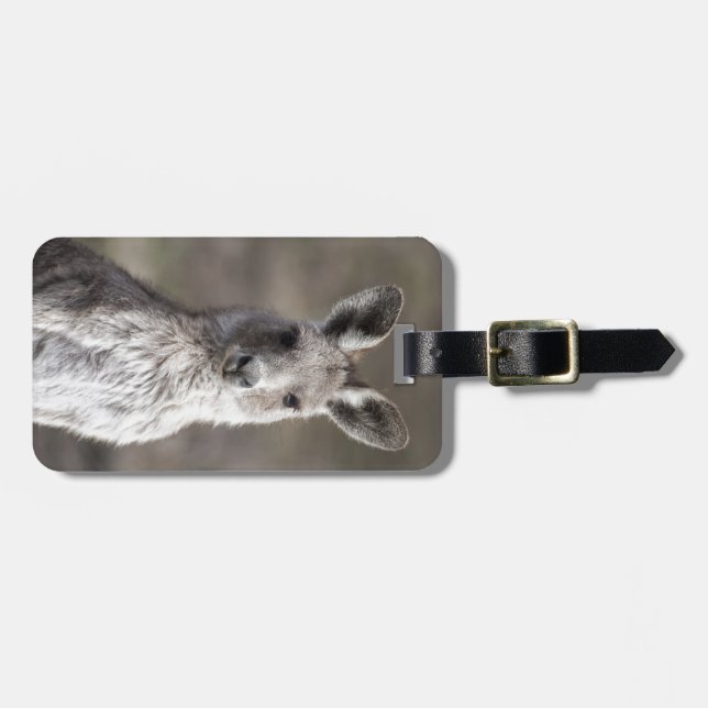 Kangaroo Luggage Tag (Front Horizontal)