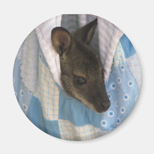 Kangaroo Magnet (Front)
