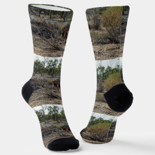 Kangaroo Meanwhile At The Billabong, Crew Socks