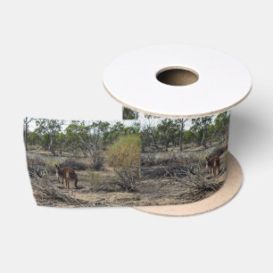 Kangaroo, Meanwhile At The Billabong, Satin Ribbon