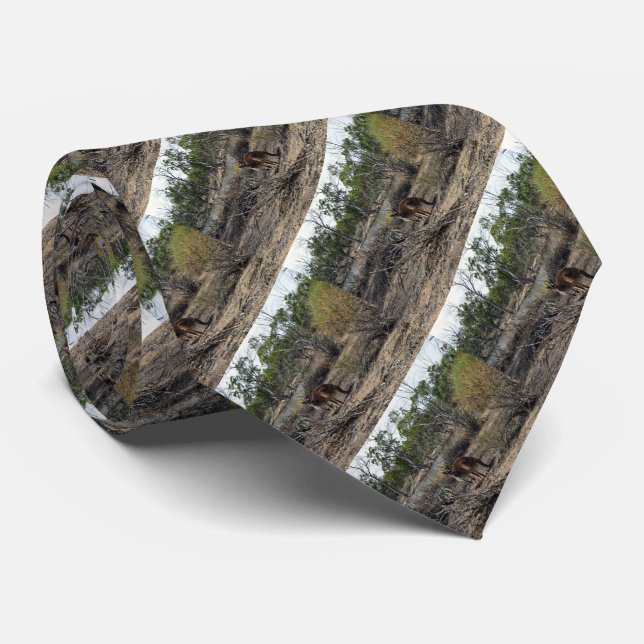 Kangaroo Meanwhile At The Billabong, Tie (Rolled)