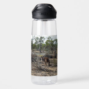 Kangaroo, Meanwhile At The Billabong,   Water Bottle