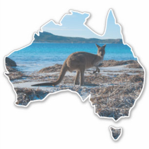 Kangaroo on the Beach Lucky Bay Australia