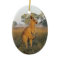 Kangaroo Ornament