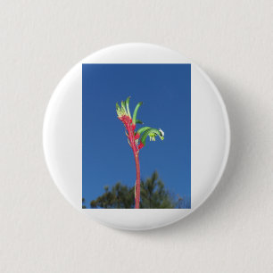 KANGAROO PAW PLANT 6 CM ROUND BADGE