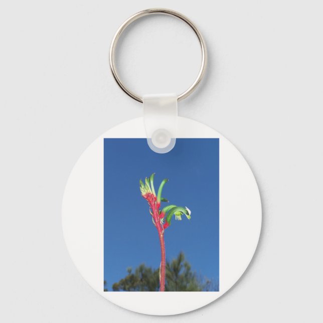KANGAROO PAW PLANT KEY RING (Front)