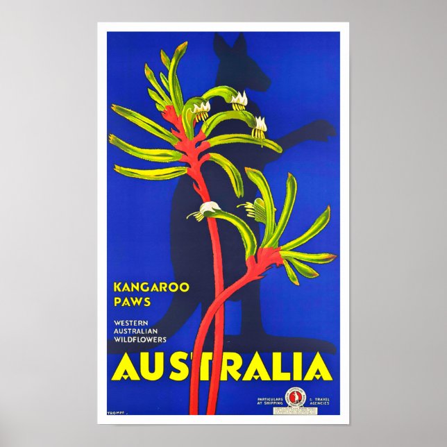 Kangaroo paws Australia vintage travel Poster (Front)