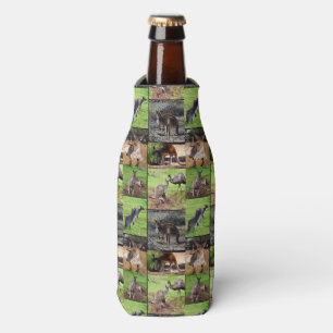 Kangaroo Photo Collage, Bottle Cooler