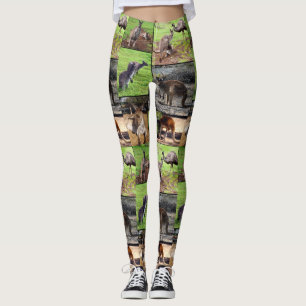 Kangaroo Photo Collage, Ladies Leggings