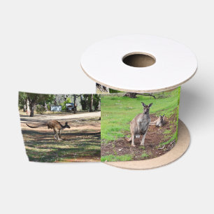 Kangaroo Photo Collage, Satin Ribbon