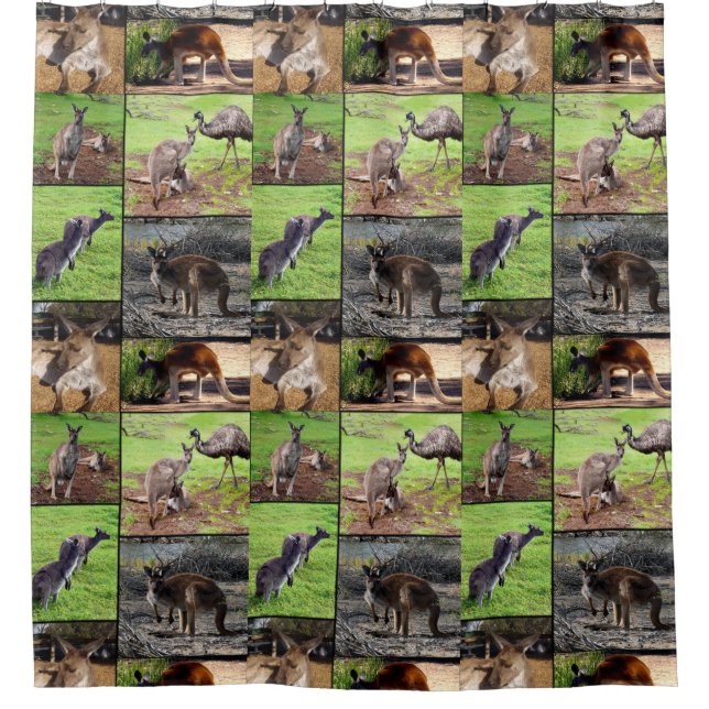 Kangaroo Photo Collage, Shower Curtain. Shower Curtain (Front)
