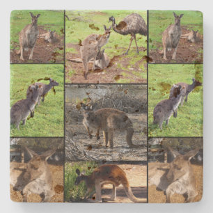 Kangaroo Photo Collage, Stone Coaster