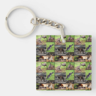Kangaroo Picture Collage, Key Ring