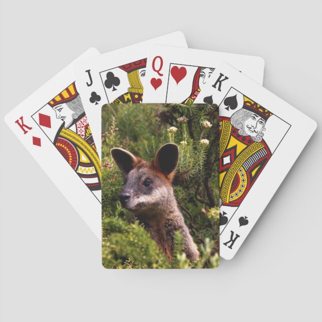 Kangaroo Playing Cards (Back)