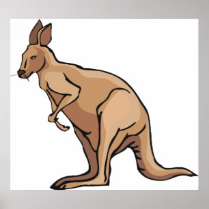 Kangaroo Poster