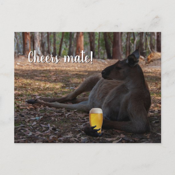 Beer Jokes Cards Zazzle UK