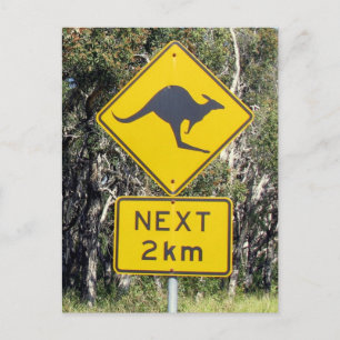 Kangaroo Sign Postcard