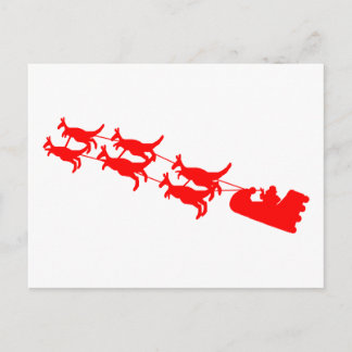 Kangaroo Sleigh Holiday Postcard