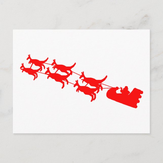 Kangaroo Sleigh Holiday Postcard (Front)