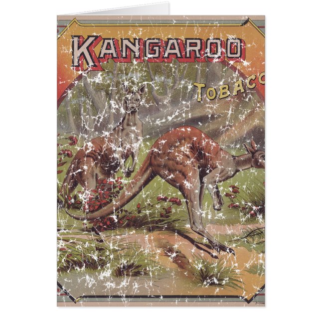 Kangaroo Tobacco 1900 (Front)