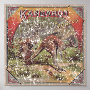 Kangaroo Tobacco 1900 distressed Poster