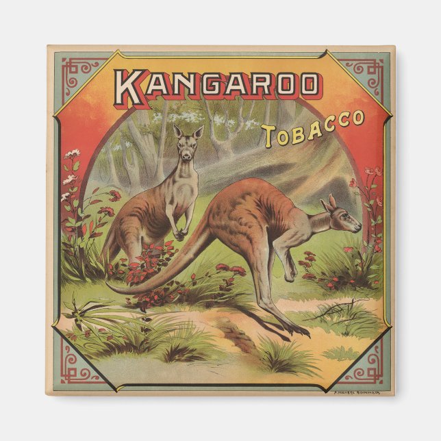 Kangaroo Tobacco 1900 Magnet (Front)