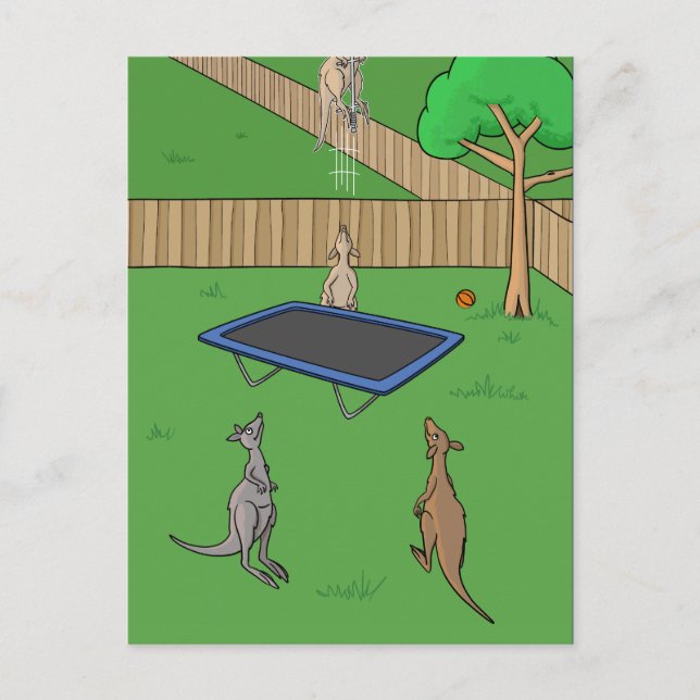 Kangaroo Trampoline Bounce Postcard (Front)